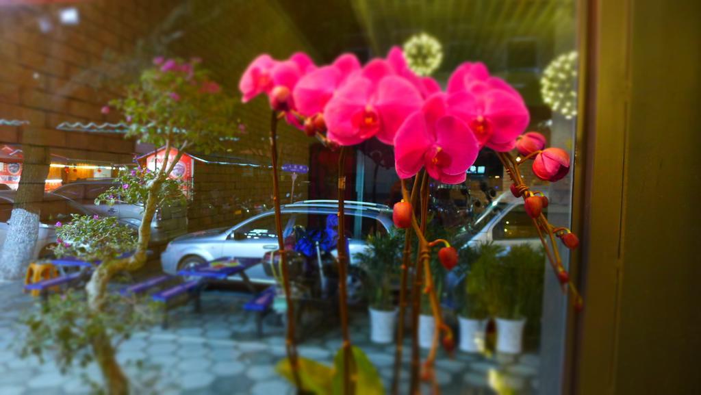 Guilin Central Wada Hostel Dış mekan fotoğraf
